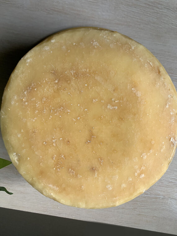Monterey Jack Wheel